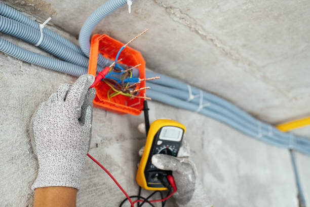 Best Licensed Electrician  in Wellington, CO